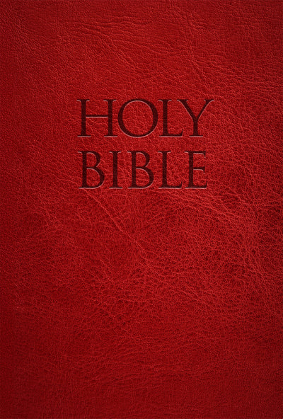 New American Bible Revised Edition (NABRE) Holy Bible Red