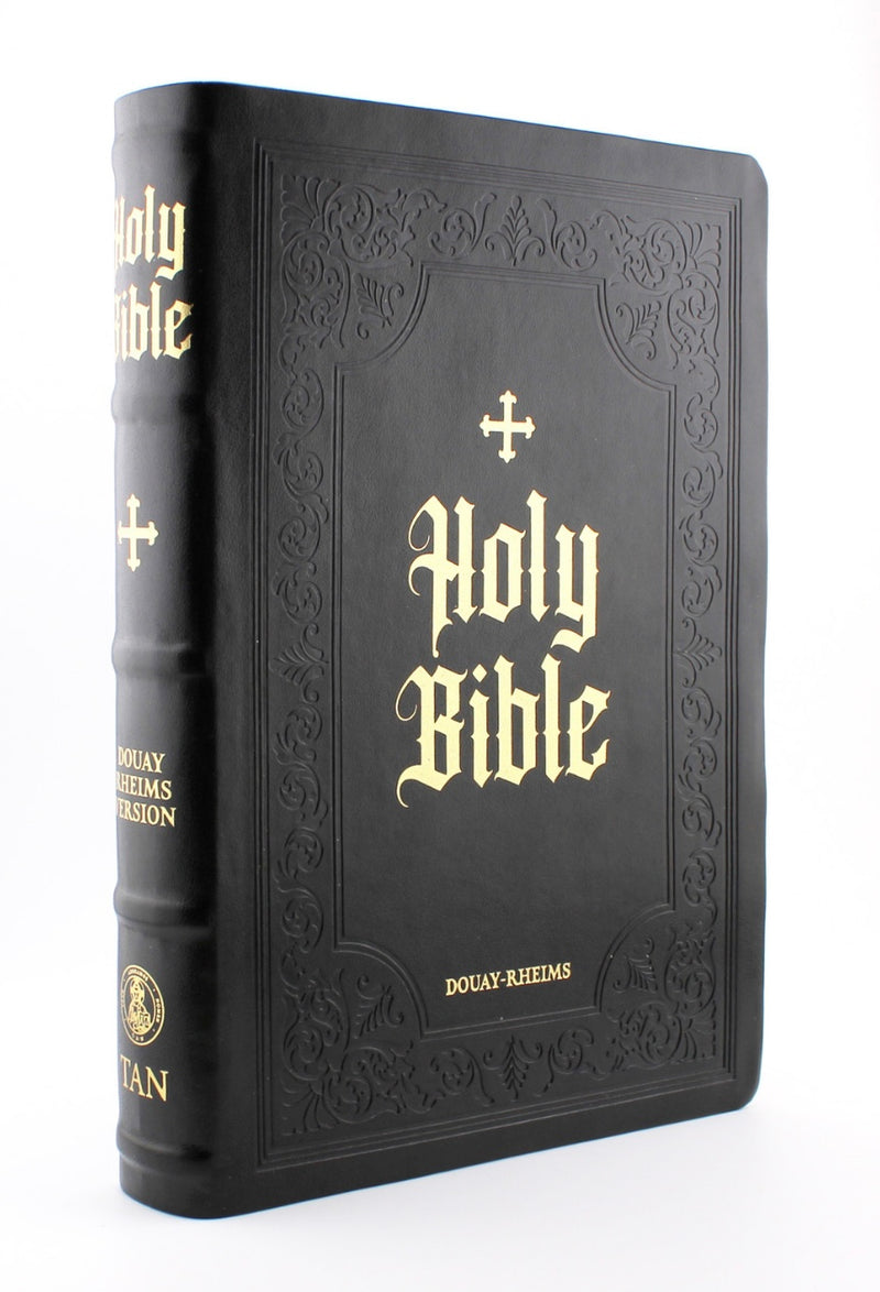 Douay-Rheims Bible Large Print Edition