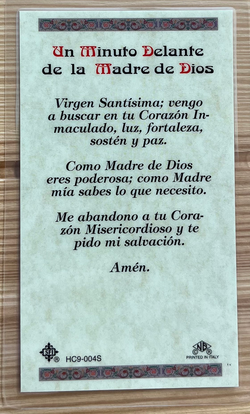 Un Minuto Delante de la Madre de Dios Tarjeta de Oracion