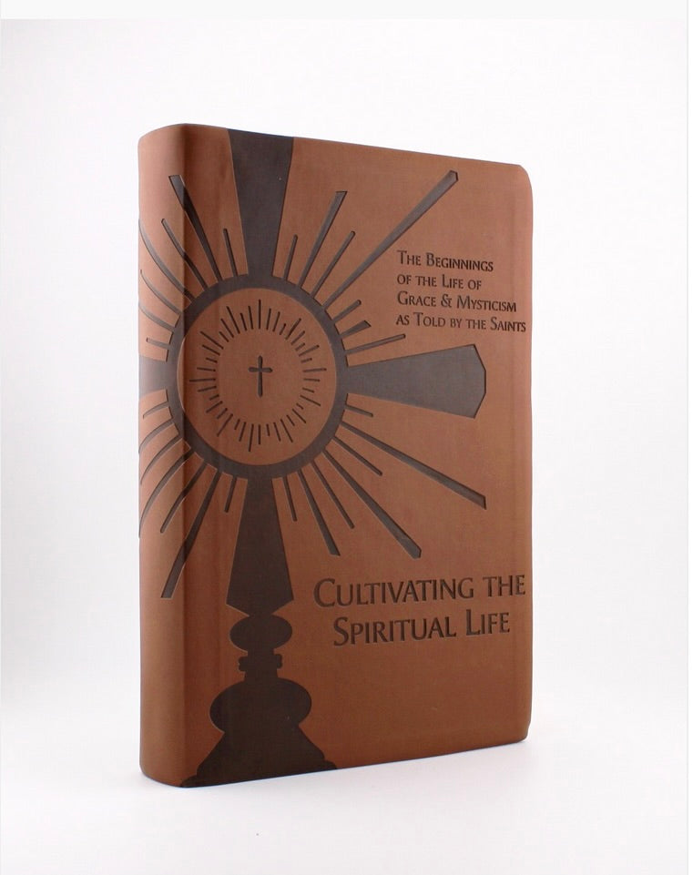 Cultivating the Spiritual Life: The Beginnings of the Life of Grace & Mysticism as Told by the Saints