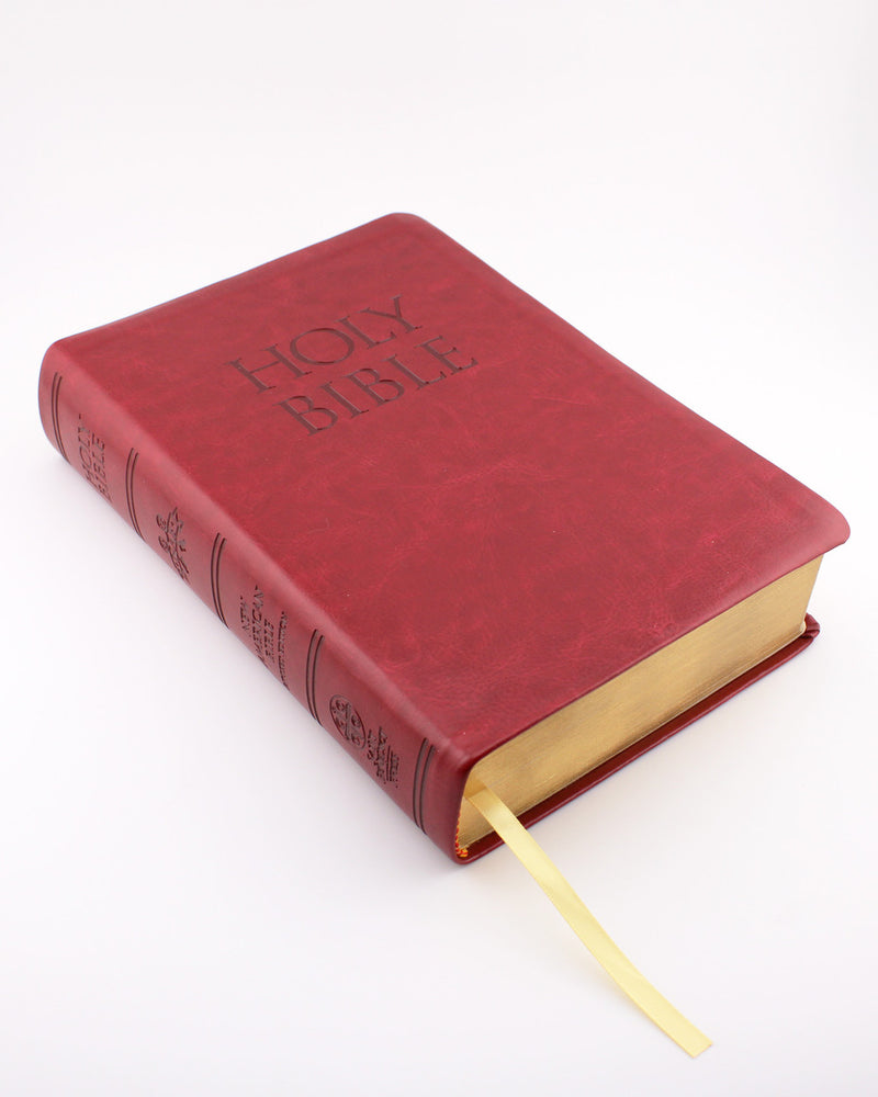 New American Bible Revised Edition (NABRE) Holy Bible Red