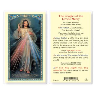 Chaplet of the Divine Mercy Holy Card